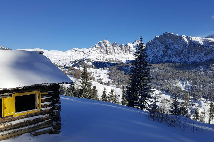 View to Stevia and Seceda
