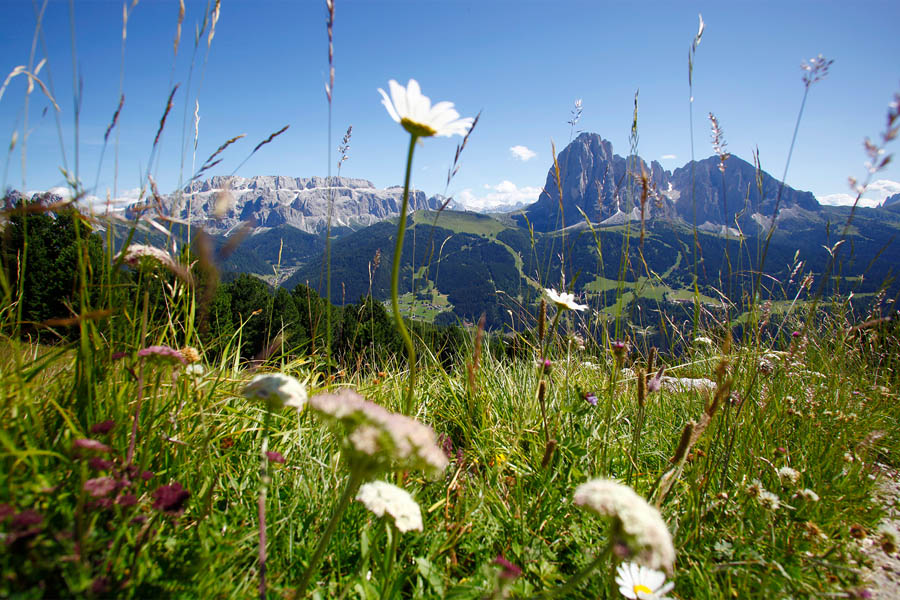 Hiking Seceda Dolomites